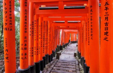 Japonya Turu