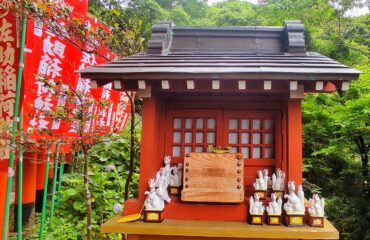 Japonya Turu