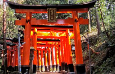 Japonya Turu