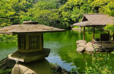 Japonya Turu