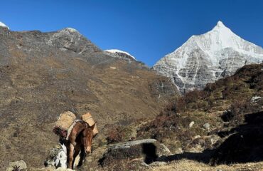 Bhutan - Chomolhari Trek Turu