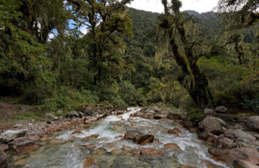 Bhutan - Chomolhari Trek Turu
